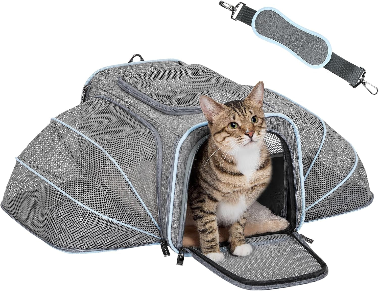 Expandable Cat Carriers Airline Approved, 16"X10"X9" Small Dog Carrier Soft-Sided Portable Washable Pet Travel Carrier with Two Extension for Kitten,Rabbit, Puppy, Small Animal